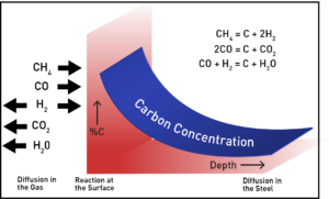 Carbon-Concentration-and-Exchange-of-Gases-1